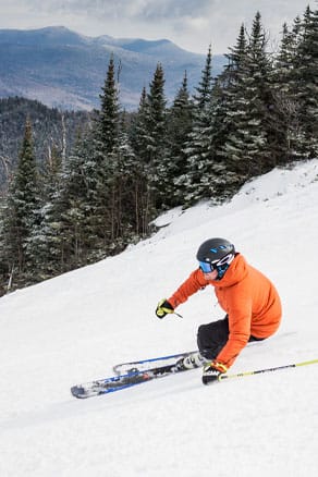 image of a winter skier